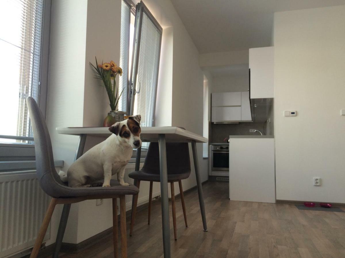 Elf Apartment Kolin Ngoại thất bức ảnh